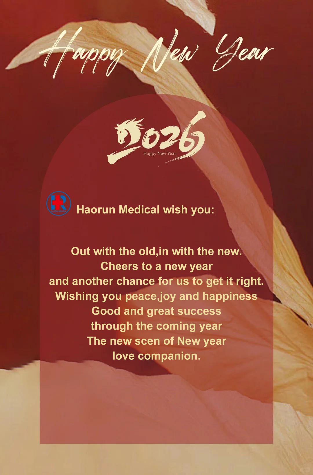 Haorun Medical святкує Різдво та Новий рік, сподіваючись на поглиблення співпраці у сфері глобальної охорони здоров’я